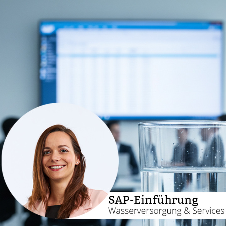 Wachstumsschmerzen lindern: SAP-Einf&uuml;hrung im M&A-Umfeld